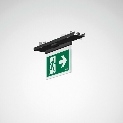 Trilux Leuchteneinsatz Inotec grau 7650 SNP 20 #7954740