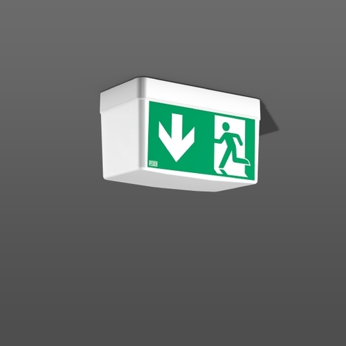 RZB LED-Sicherheitsleuchte EB 8h, 865, weiß 672521.002