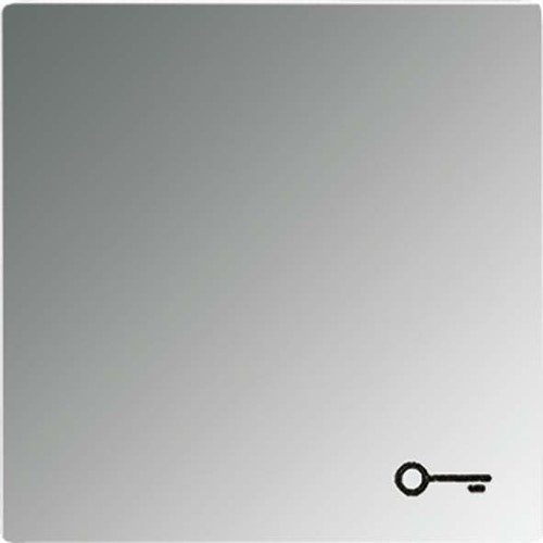 Jung Wippe Symbol TÜR gl.chr für Taster GCR 2990 T