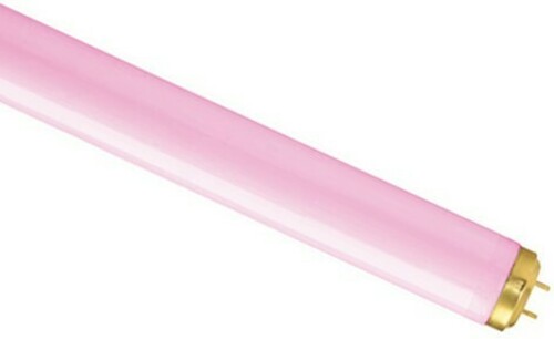 Scharnberger+Hasenbein UV-A Leuchtstofflampe 68590 Scharnberger+Hasenbein UV-A Leuchtstofflampe 68590