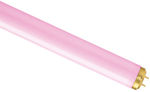 Scharnberger+Hasenbein Leuchtstofflampe UV-A T5 68591
