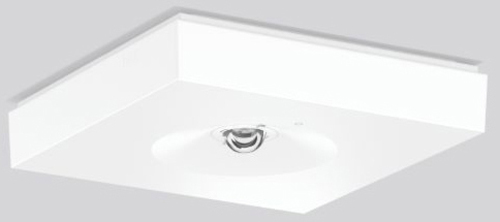 RZB Rettungswegleuchte 740, ZB, weiß 672583.002.89 RZB Rettungswegleuchte 740, ZB, weiß 672583.002.89