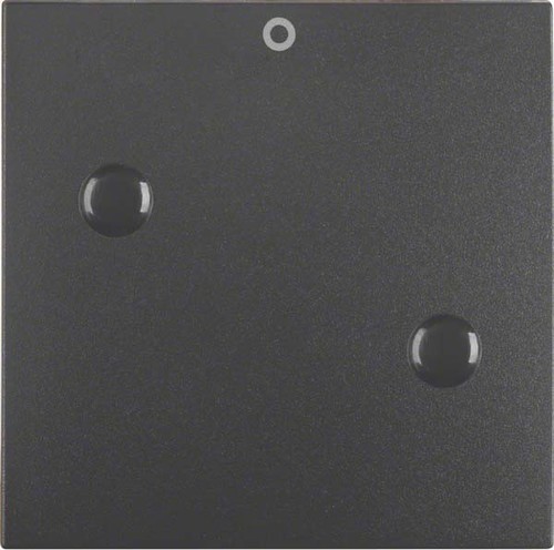 Berker Wippe anschraubbar mit Aufdruck "0" B.1 15731606
