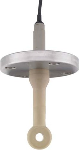 Endress+Hauser Leitfähigkeitssensor DN50,Peek, 3m Kabel CLS50D-AA1B21