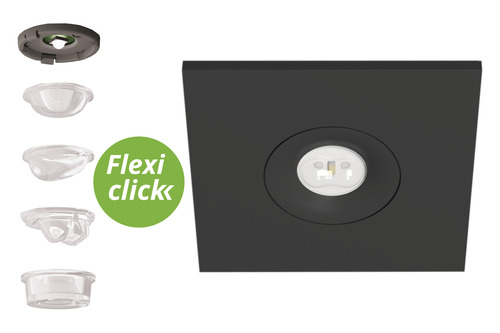 RP-Technik LED-Sicherheitsleuchte EB 3h, SC, anthr. EEQL433SC-AZ
