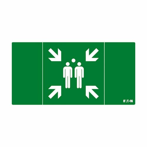 Ceag Notlichtsysteme Piktogramm 40071355313