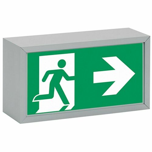 Ceag Notlichtsysteme Sicherheitsleuchte 70011 LED CG-S Ceag Notlichtsysteme Sicherheitsleuchte 70011 LED CG-S