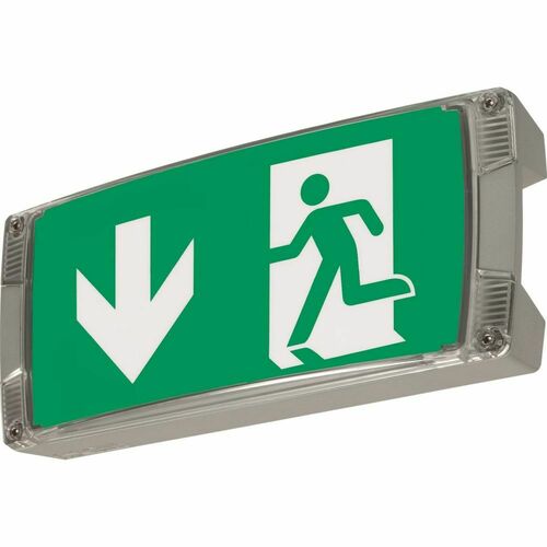 Ceag Notlichtsysteme Sicherheitsleuchte AtlanticLEDIISCG-S Ceag Notlichtsysteme Sicherheitsleuchte AtlanticLEDIISCG-S