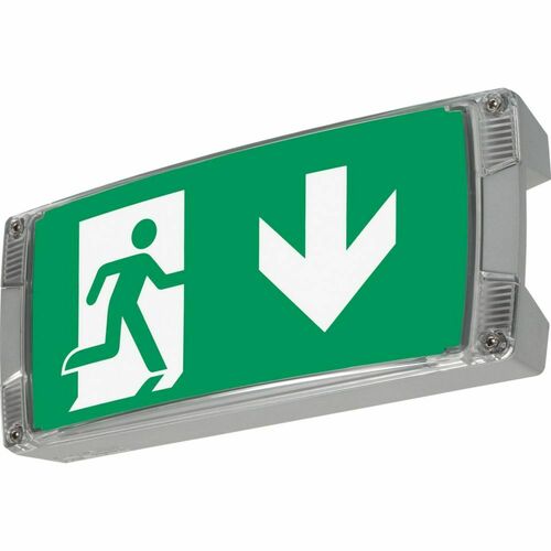 Ceag Notlichtsysteme Sicherheitsleuchte AtlanticLEDLTSCG-S Ceag Notlichtsysteme Sicherheitsleuchte AtlanticLEDLTSCG-S