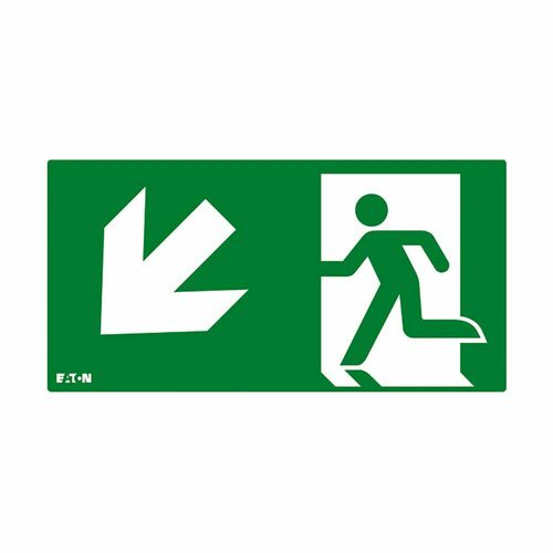 Ceag Notlichtsysteme Piktogramm FT3EWEC-PICTO-DL Ceag Notlichtsysteme Piktogramm FT3EWEC-PICTO-DL