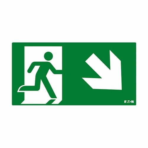 Ceag Notlichtsysteme Piktogramm FT3EWEC-PICTO-DR Ceag Notlichtsysteme Piktogramm FT3EWEC-PICTO-DR