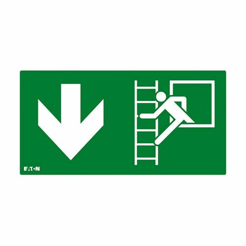 Ceag Notlichtsysteme Piktogramm FT3EWEC-PICTO-EWD Ceag Notlichtsysteme Piktogramm FT3EWEC-PICTO-EWD