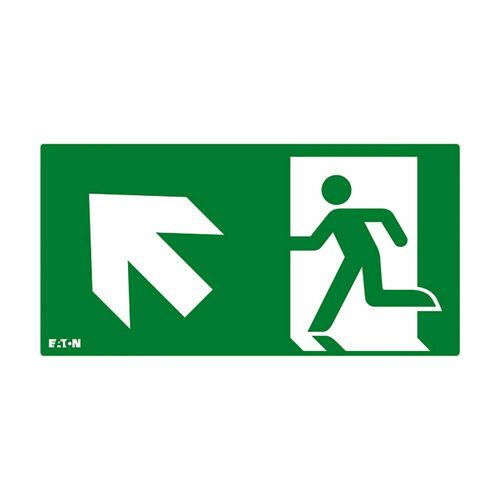 Ceag Notlichtsysteme Piktogramm FT3EWEC-PICTO-UL Ceag Notlichtsysteme Piktogramm FT3EWEC-PICTO-UL