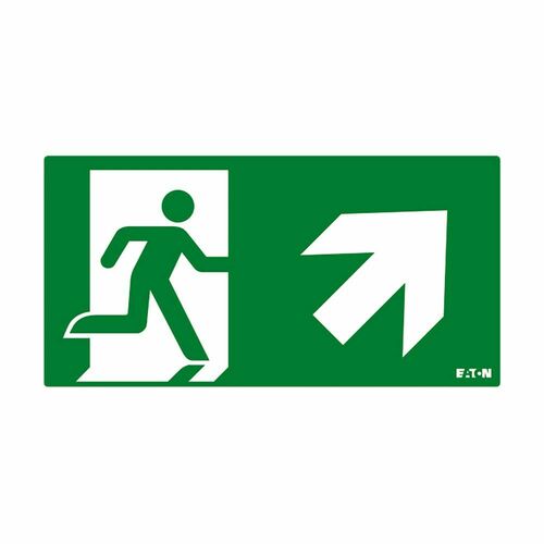 Ceag Notlichtsysteme Piktogramm FT3EWEC-PICTO-UR Ceag Notlichtsysteme Piktogramm FT3EWEC-PICTO-UR