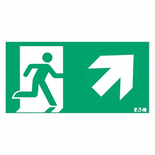 Ceag Notlichtsysteme Piktogramm LUM10595