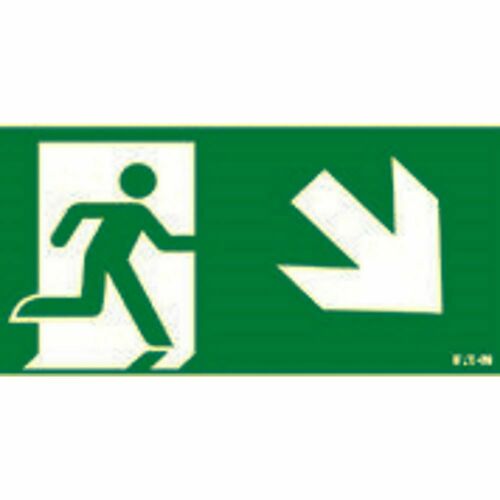 Ceag Notlichtsysteme Piktogramm LUM10596