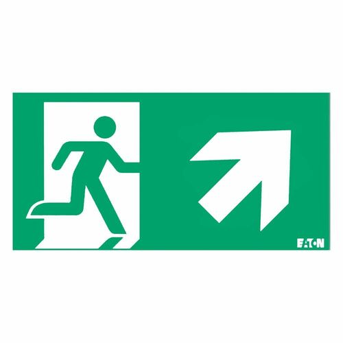 Ceag Notlichtsysteme Piktogramm LUM10972