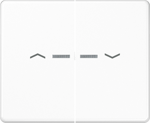 Jung Wippe Symbole/Lichtl.aws für Taster 2-fach SL 595 KO5P WW