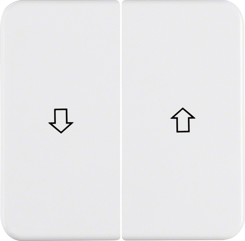 Berker Wippe pws 155229