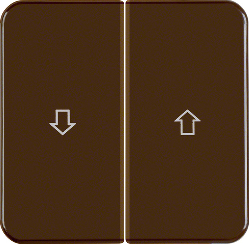 Berker Wippe br/gl Symbol Pfeil, IP44 155221