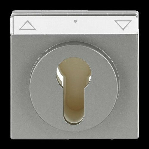 Busch-Jaeger Zentralscheibe edelstahl f.Schlüsselschalter 1755 SL/PZ-866-101