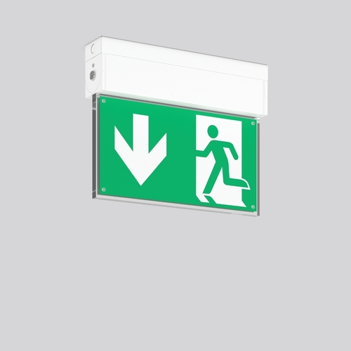 RZB LED-Sicherheitsleuchte EB 3h, Funk 672217.002.1.F1