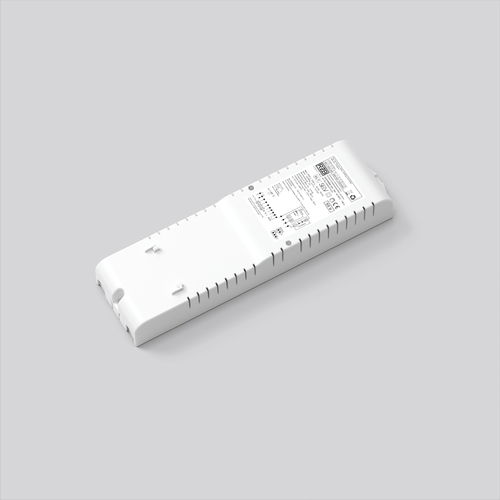 RZB Notlicht-Box 55V EB 8h, Funk 982934.002.F1