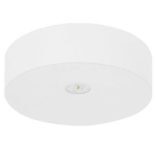 Fischer Sicherheitsleuchte EB 3h AXD365SC.V2 Fischer Sicherheitsleuchte EB 3h AXD365SC.V2