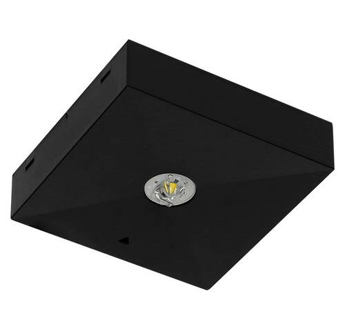 Fischer Sicherheitsleuchte B3DE19Z-B