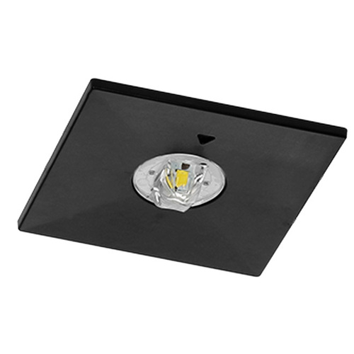 Fischer Sicherheitsleuchte B3EE19I2-B