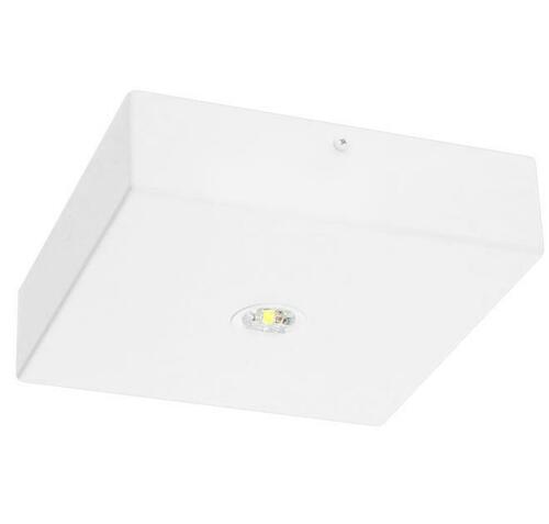 Fischer Sicherheitsleuchte EB 8h BQD815ECC2.V2