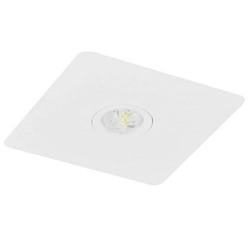 Fischer Sicherheitsleuchte CPS BQEE19