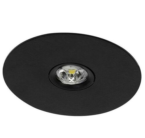 Fischer Sicherheitsleuchte CPS BREE15-B