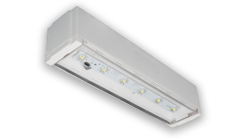 RP-Technik Sicherheitsleuchte PXDL029 RP-Technik Sicherheitsleuchte PXDL029