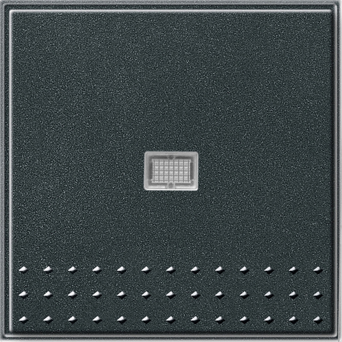 Gira Wippschalter anthrazit m. Kontrollfenster 091467