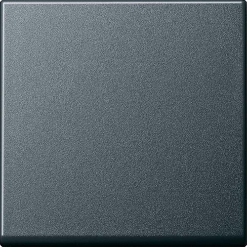 Gira Wippe anthrazit f. Tastschalter 091628