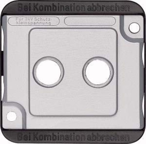 Merten Zentralplatte mat/si für Antennendose 294660