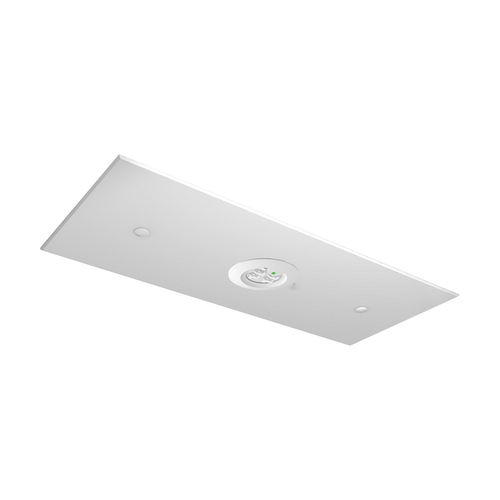 Ceag Notlichtsysteme RTECH Abdeckrahmen RT2R-RP Ceag Notlichtsysteme RTECH Abdeckrahmen RT2R-RP