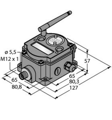 Turck Funksystem DX80DR2M-H1