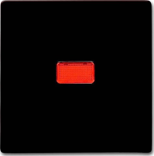 Busch-Jaeger Wippe braun Kontroll-Wechsel 2107-31 Busch-Jaeger Wippe braun Kontroll-Wechsel 2107-31