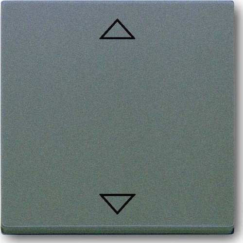 Busch-Jaeger Bedienelement meteor/graumetallic 6430-803-102