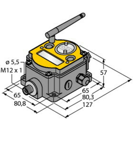 Turck Funksystem DX80N2X2S-P5