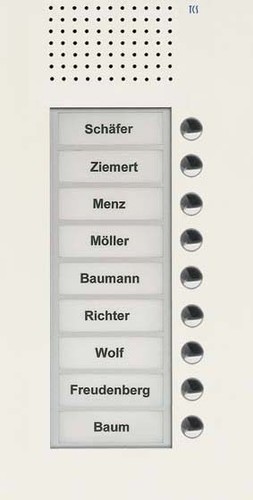 TCS Tür Control Audio Außenstation PUK 9 Tasten 1spaltig UP w PUK09/1-WS