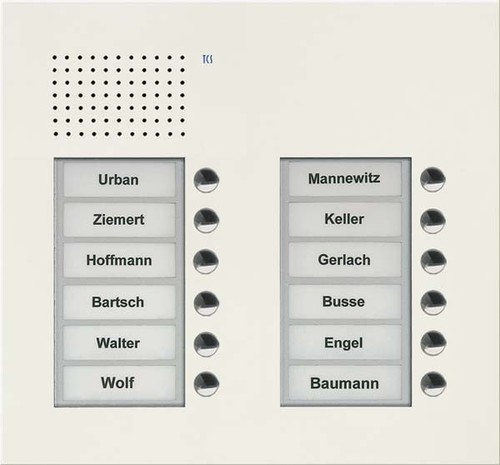 TCS Tür Control Audio Außenstation PUK 12 Tasten 2-spaltig UP PUK12/2-WS