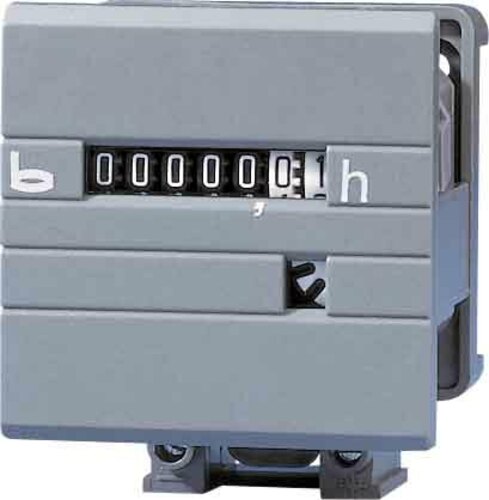 Bauser Betriebsstundenzähler 10-80VDC 629A.2R-021-0-1-001