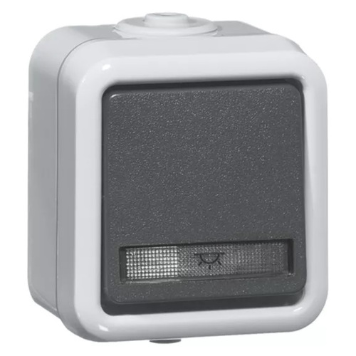 Peha Serientaster gr 10A 250V 1-pol.2S D 625 T WAB Peha Serientaster gr 10A 250V 1-pol.2S D 625 T WAB