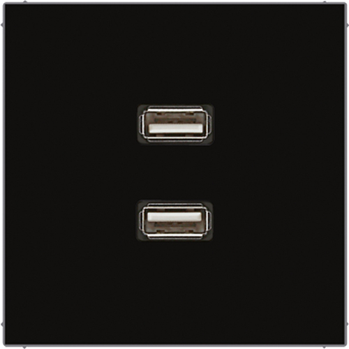 Jung Multimedia-Anschluss schwarz 2 x USB m.Tragring MA LS 1153 SW