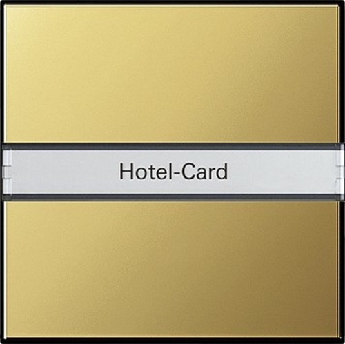 Gira Hotel-Card-Taster BSF ms BSF System 55 0140604