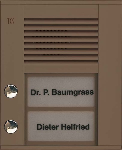 TCS Tür Control Audioaußenstation1-reihig 2 Tasten AP bronze PDS02-EB/04