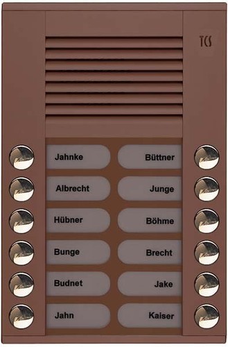 TCS Tür Control Audioaußenstation 2-reihig 12 Tasten AP bronze PES12-EB/04